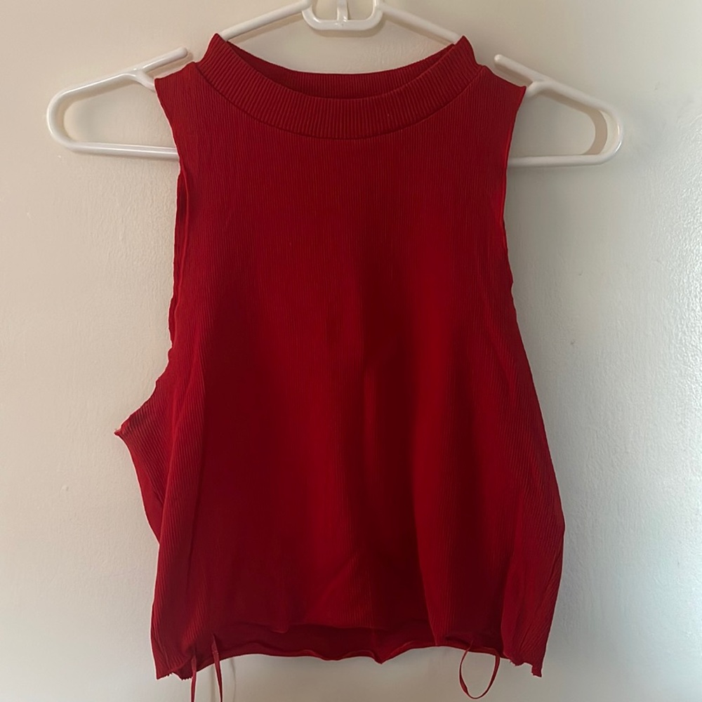Zara crop top